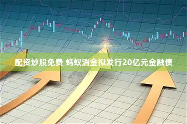 配资炒股免费 蚂蚁消金拟发行20亿元金融债