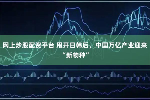 网上炒股配资平台 甩开日韩后，中国万亿产业迎来“新物种”